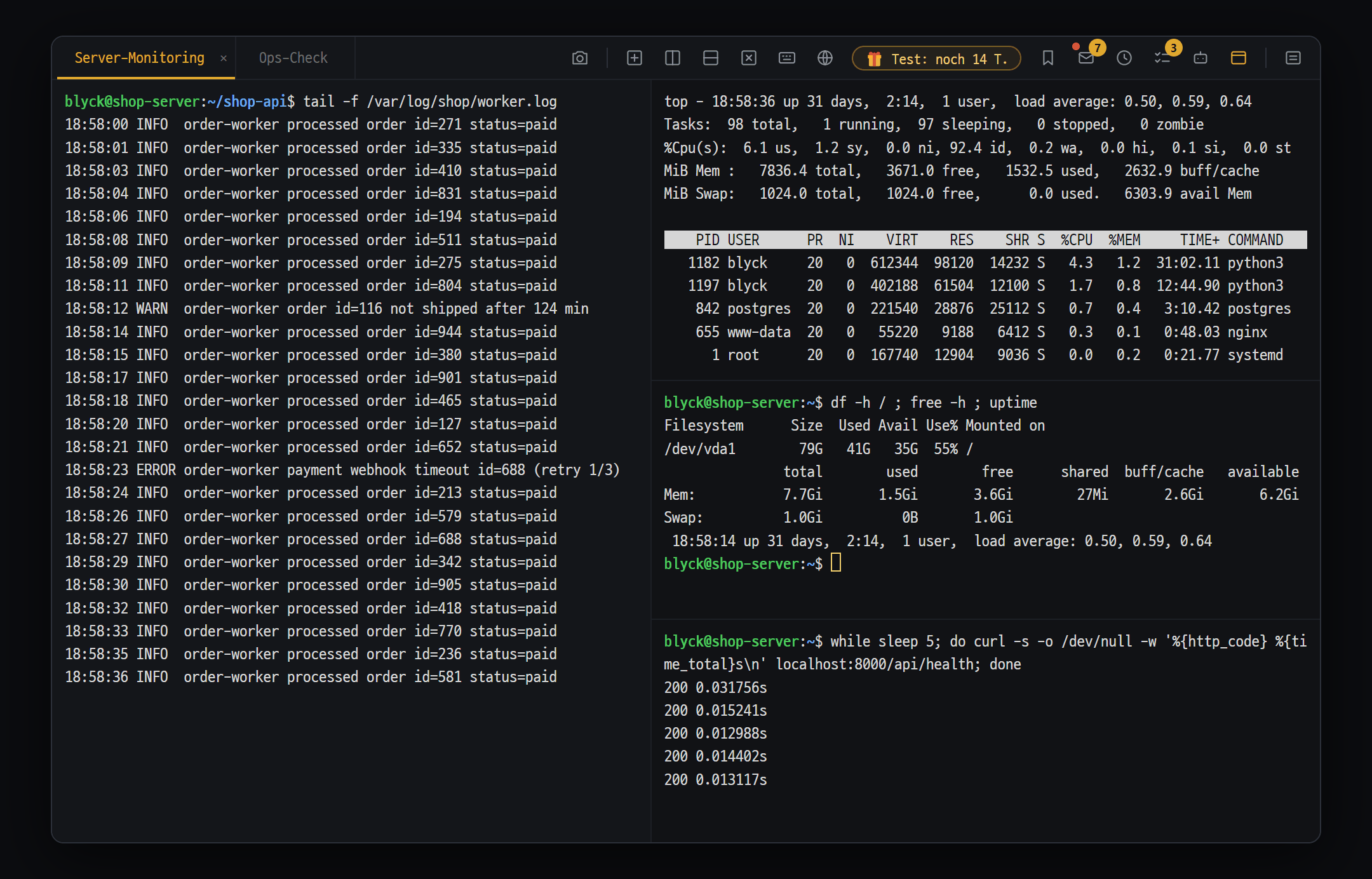 Terminal · SSH · SFTP