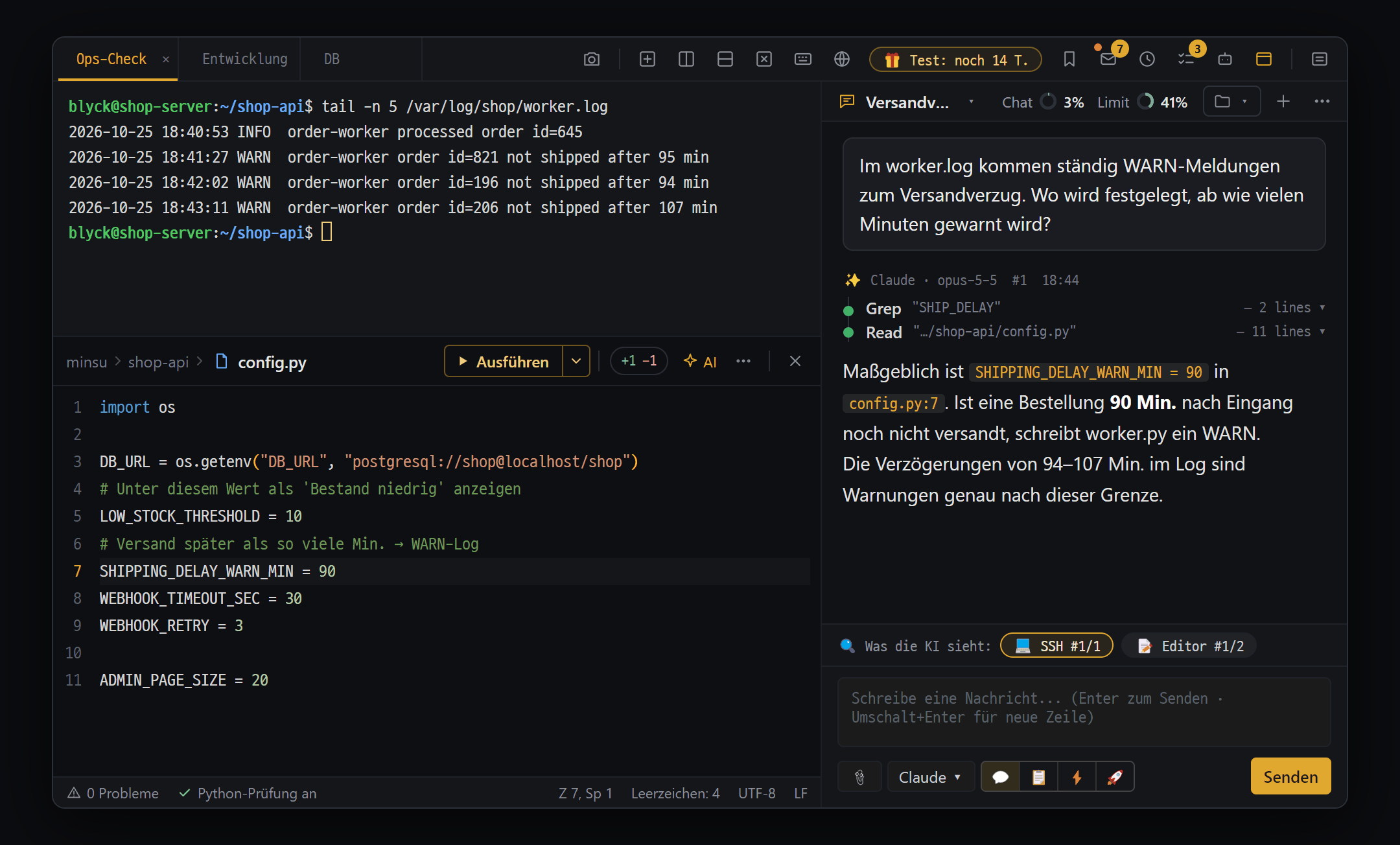 Ein Tab in drei Bereiche geteilt — Server-Terminal, Code-Editor und KI-Chat zusammen