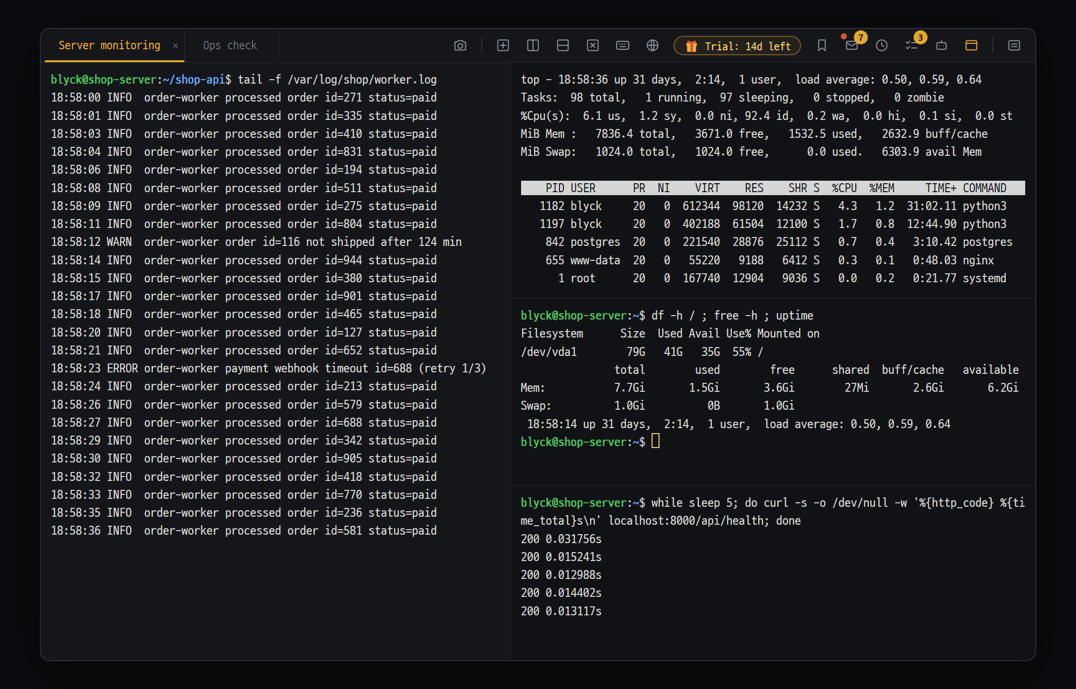 Terminal · SSH · SFTP