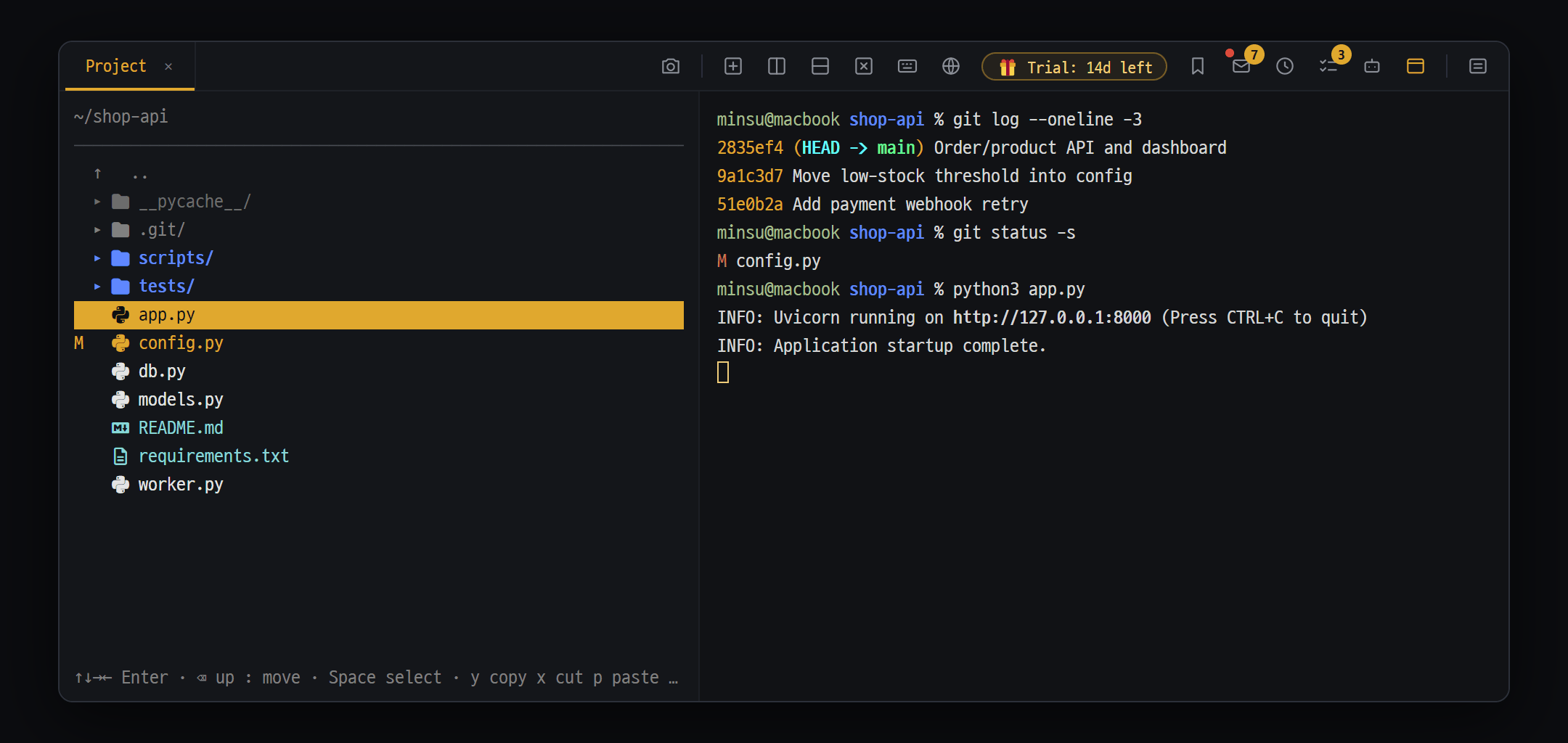 File tree on the left and your PC's terminal on the right