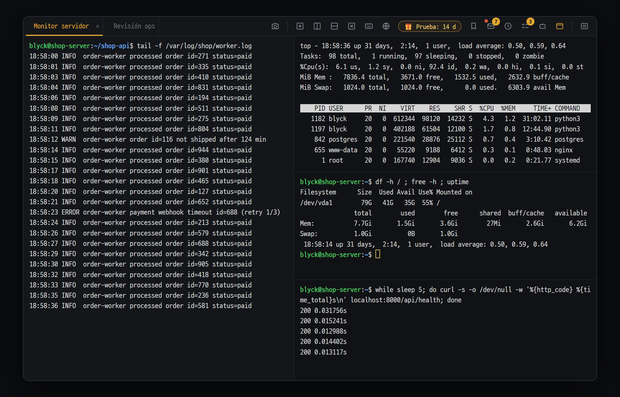 Terminal · SSH · SFTP