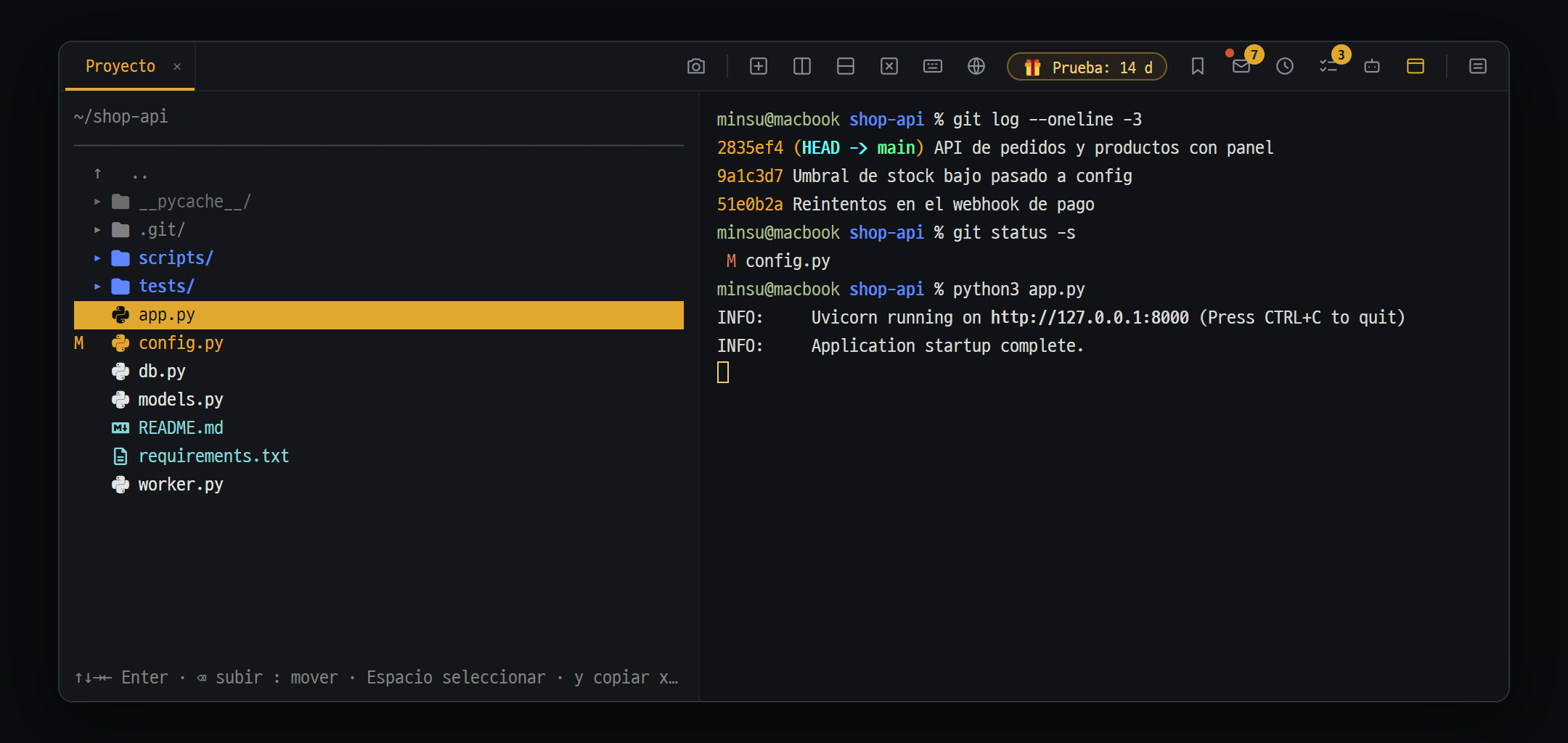 Árbol de archivos a la izquierda y terminal de tu PC a la derecha, lado a lado
