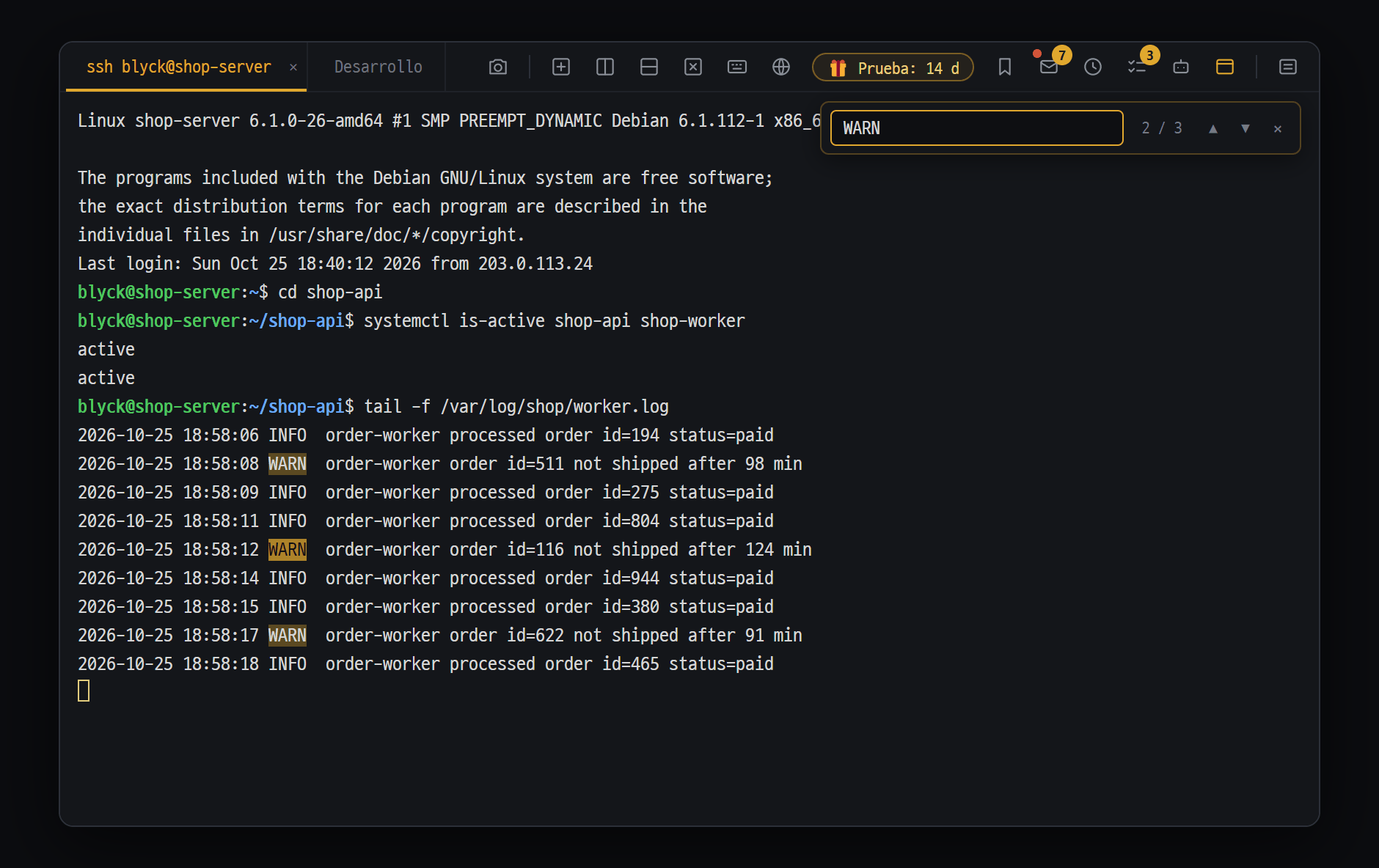 Panel de terminal SSH — sigue el log del servidor y busca con Ctrl+F