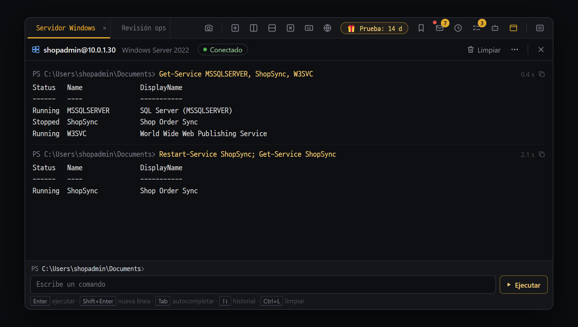 Panel WinRM (Ctrl+Alt+R) — envía comandos de PowerShell a un servidor Windows remoto y recibe el resultado