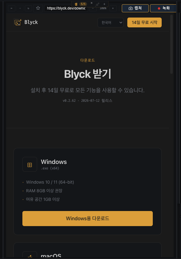 blyck.dev 다운로드 페이지