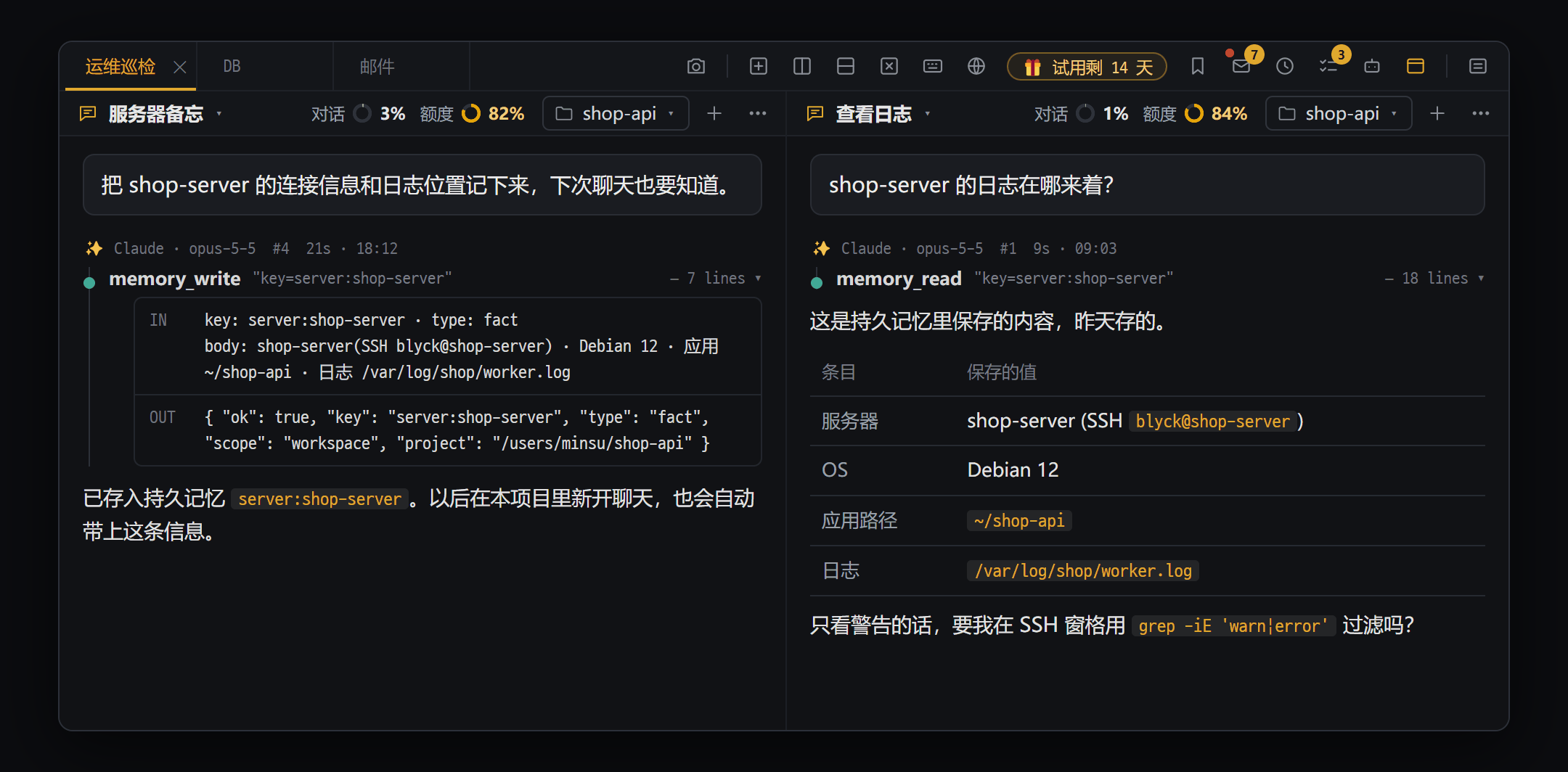 持久记忆（Pro）